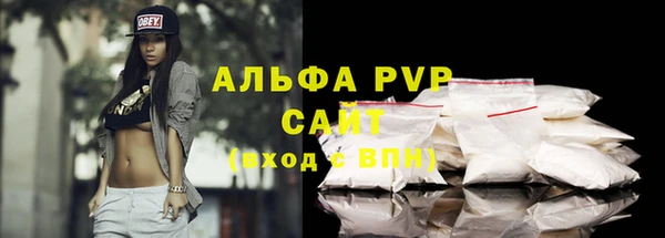 эйфоретик Богданович
