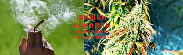 эйфоретик Богданович