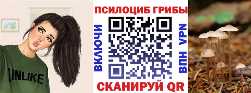 Галлюциногенные грибы мицелий  купить   Тула 